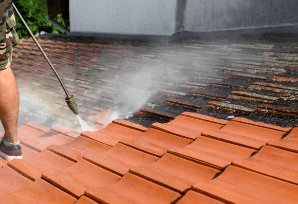 Best Pressure Washing Company Near Me  in The Hammocks, FL